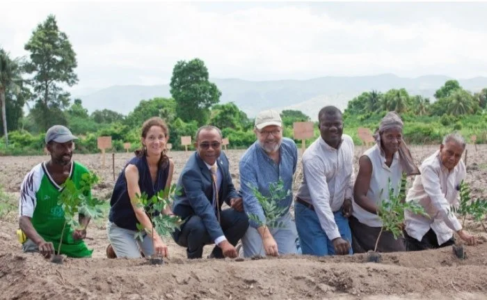 Timberland Will Get Cotton from a Nifty New Supply Chain – Haiti – if Experiment Soars