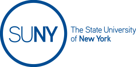 10 New York campuses to help establish village in Haiti