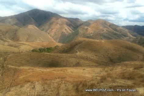 Has Haiti Lost Nearly All of Its Forest? It's Complicated