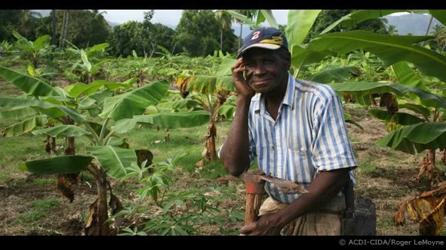 Haiti farmers eager to receive compensation after 'groundbreaking' land deal