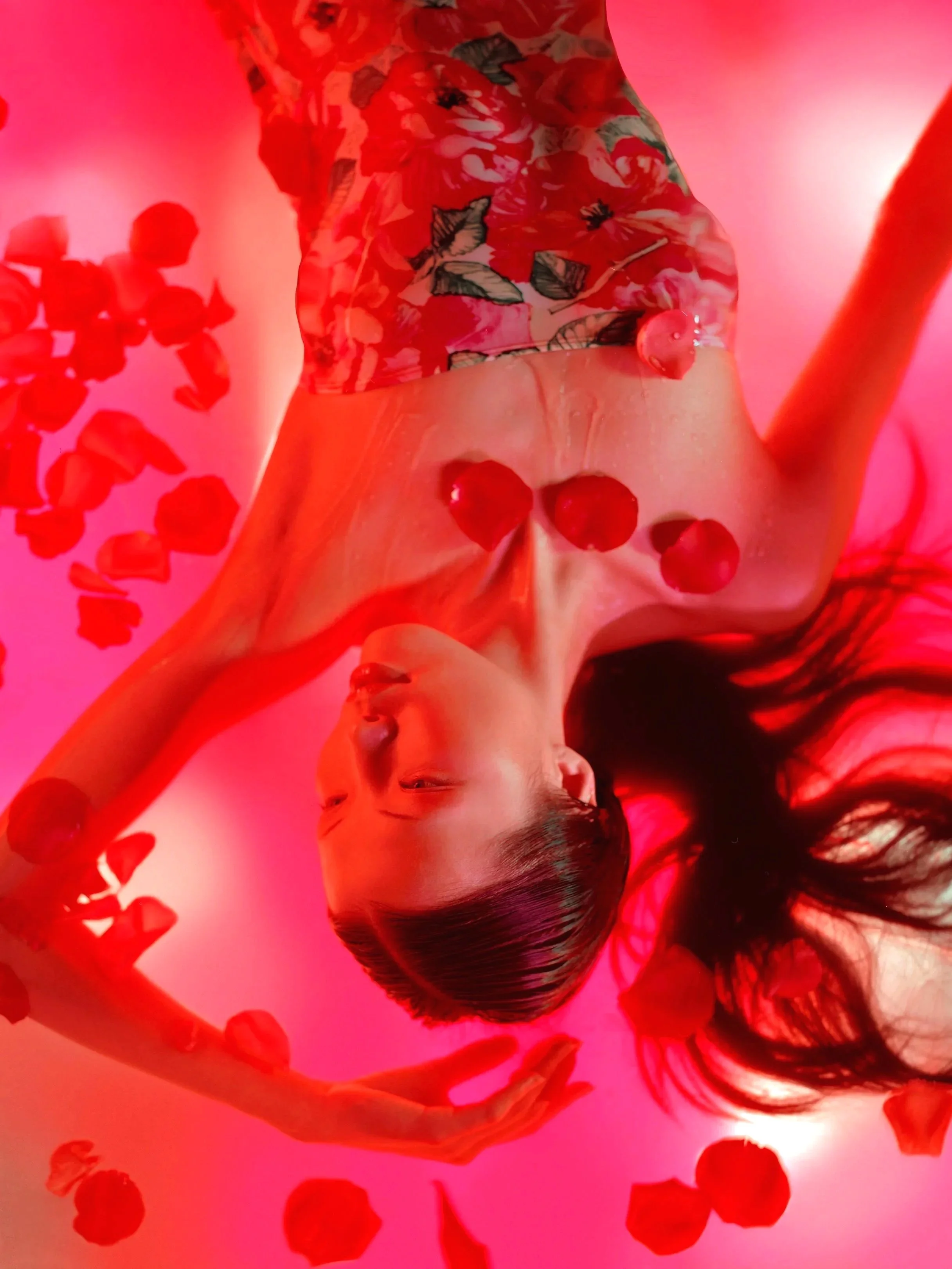 'Rose  Petals ' 1998