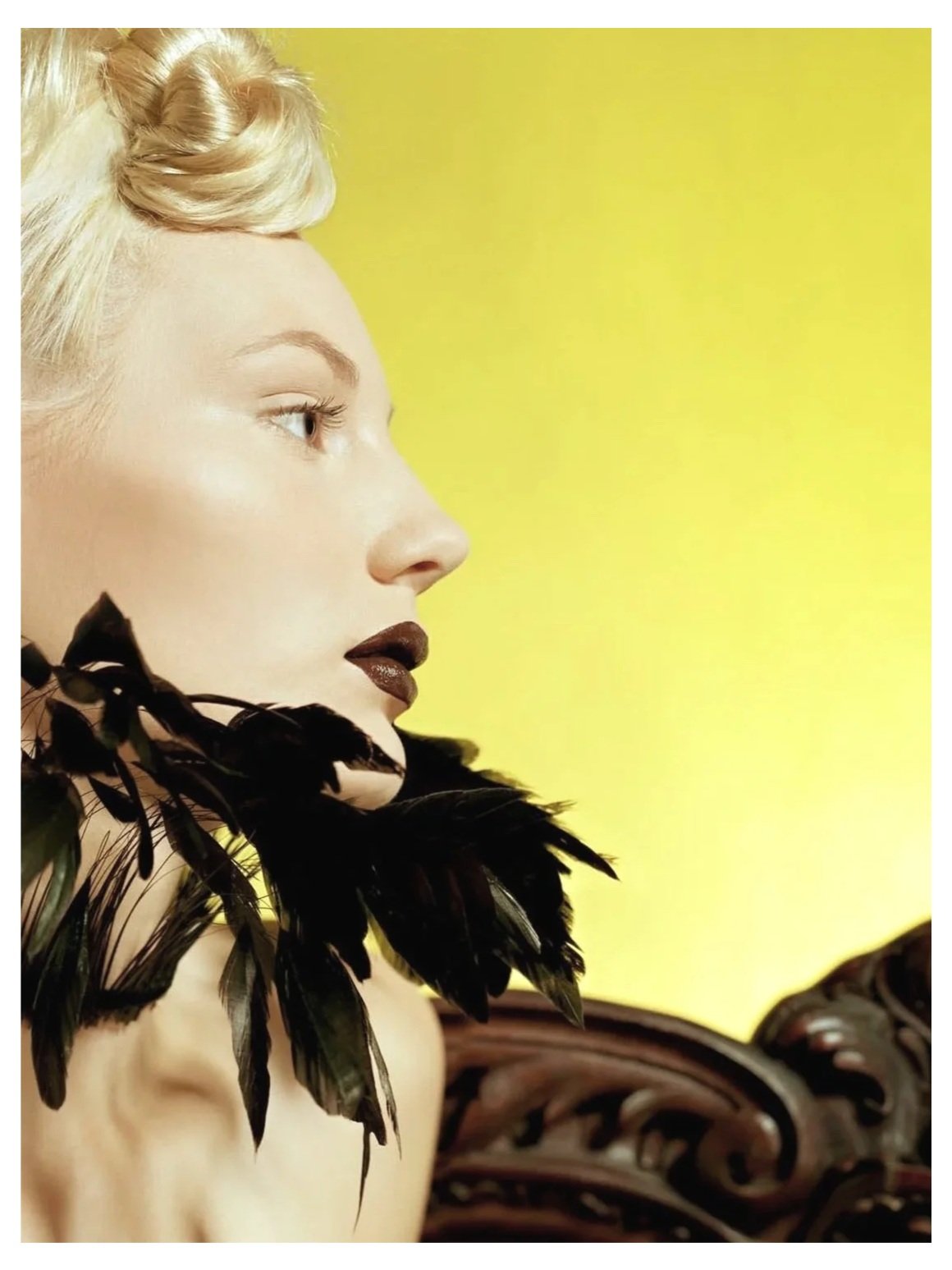 Plume sur Jaune