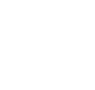 Logo Cleaned