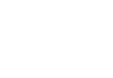 Logo White