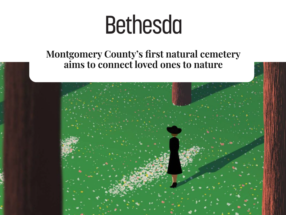 bethesda2.png