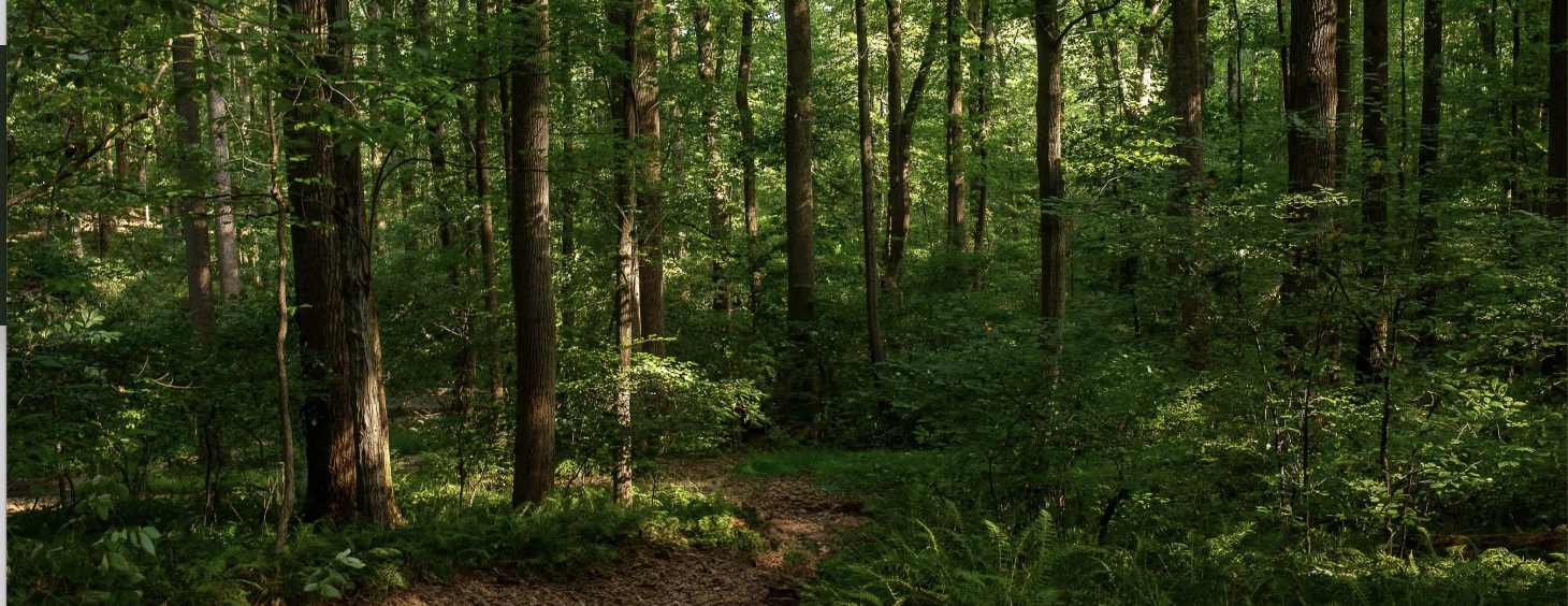 Caring for Caregivers