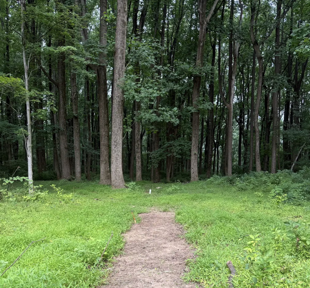 Common Ground Series: Preparing the Sacred Circle