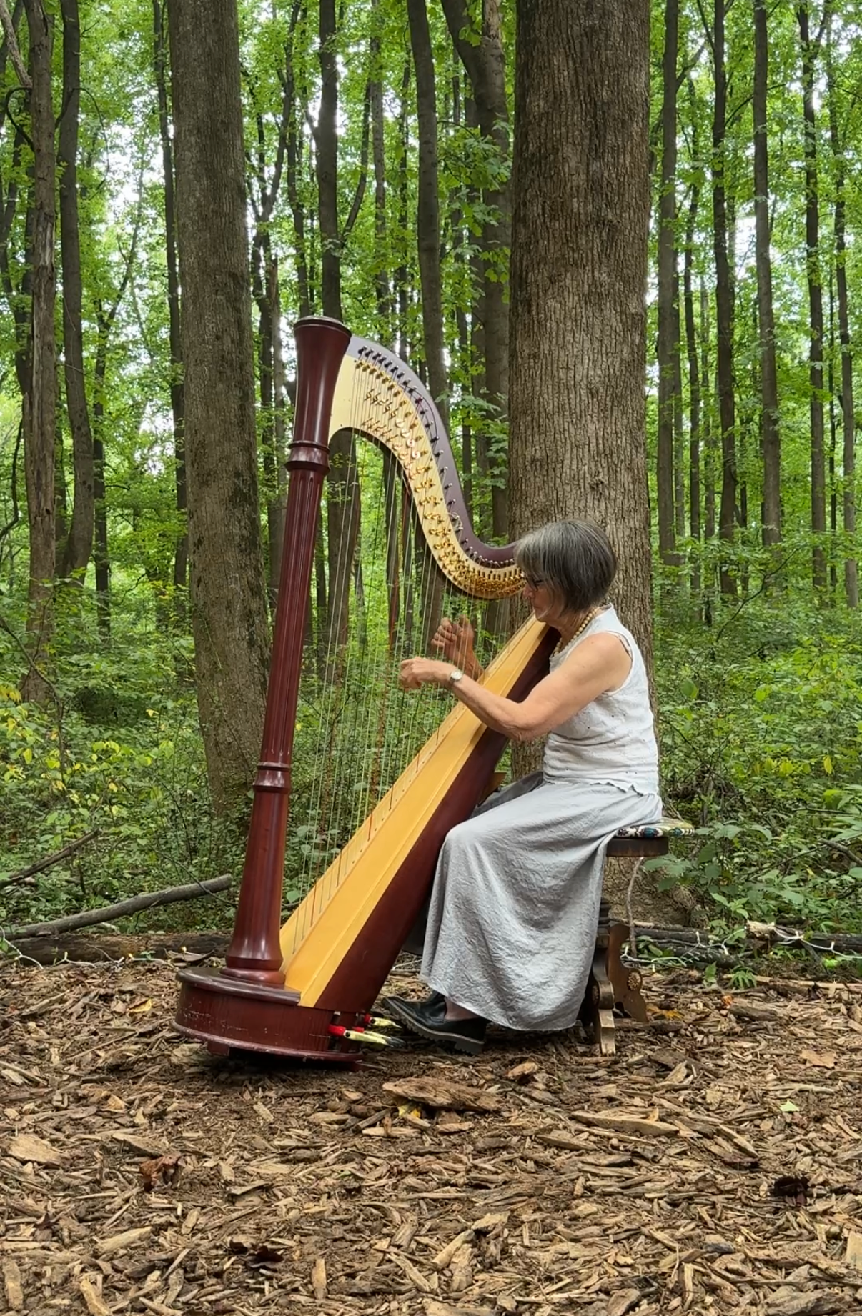  Harpist Jody Grossman provides gentle lyrical interludes. 