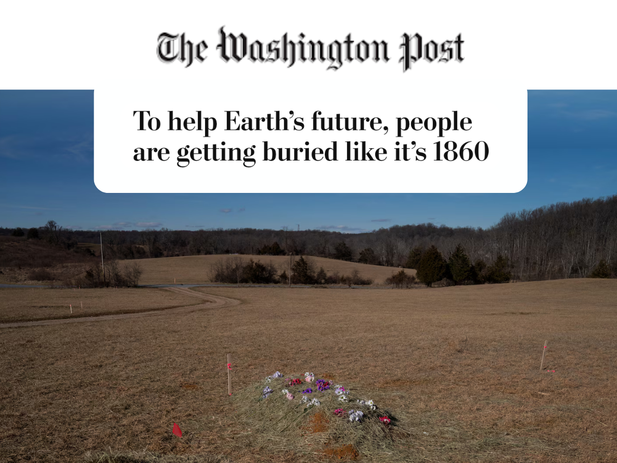 WaPo.png