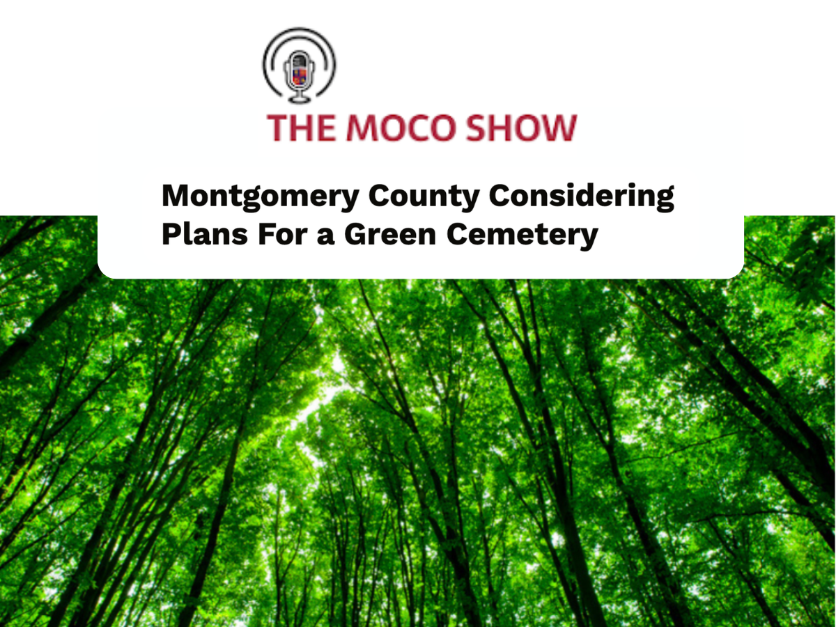 moco.png