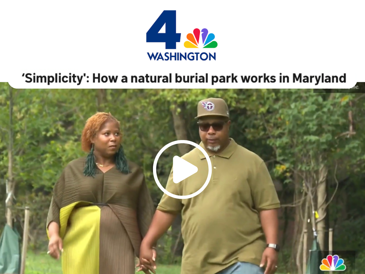 nbc4 (2).png