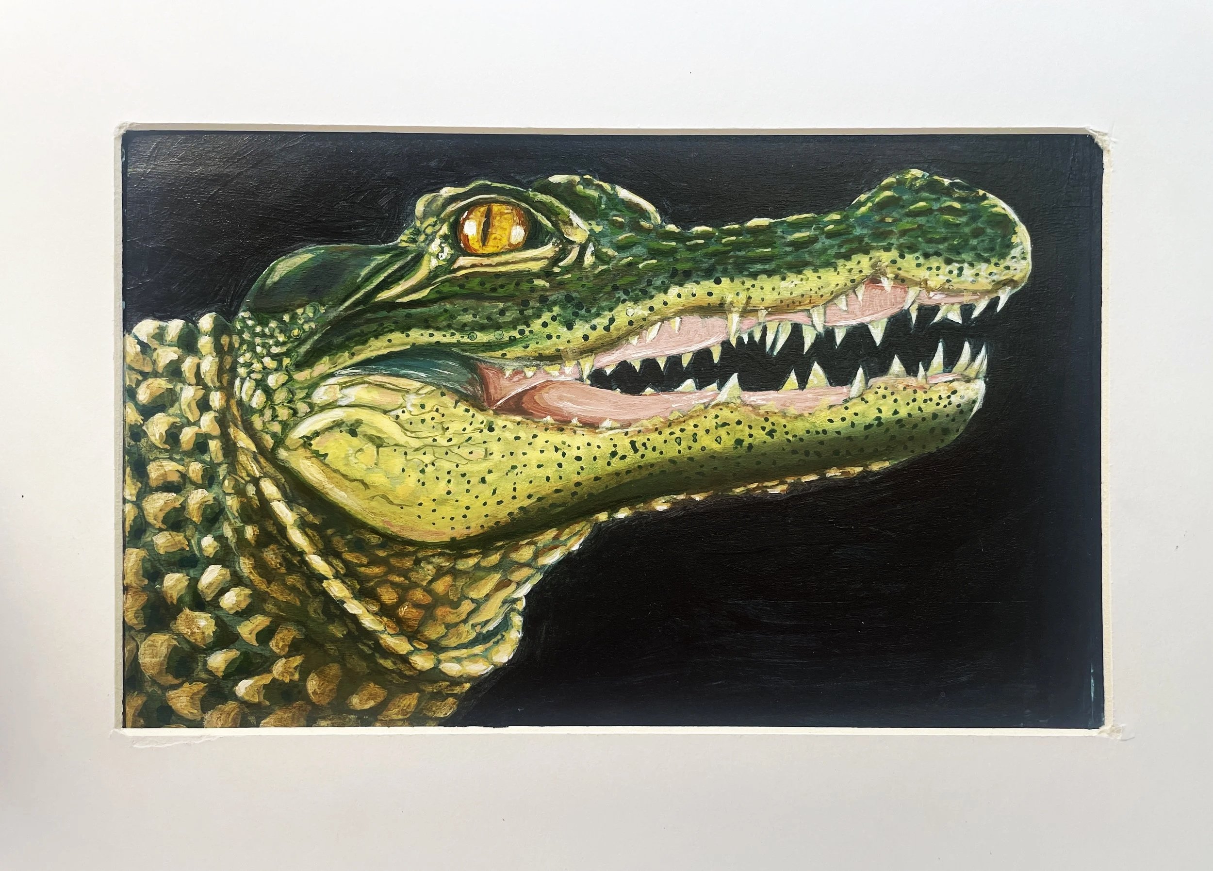 Everglades inhabitant (Acrylic)