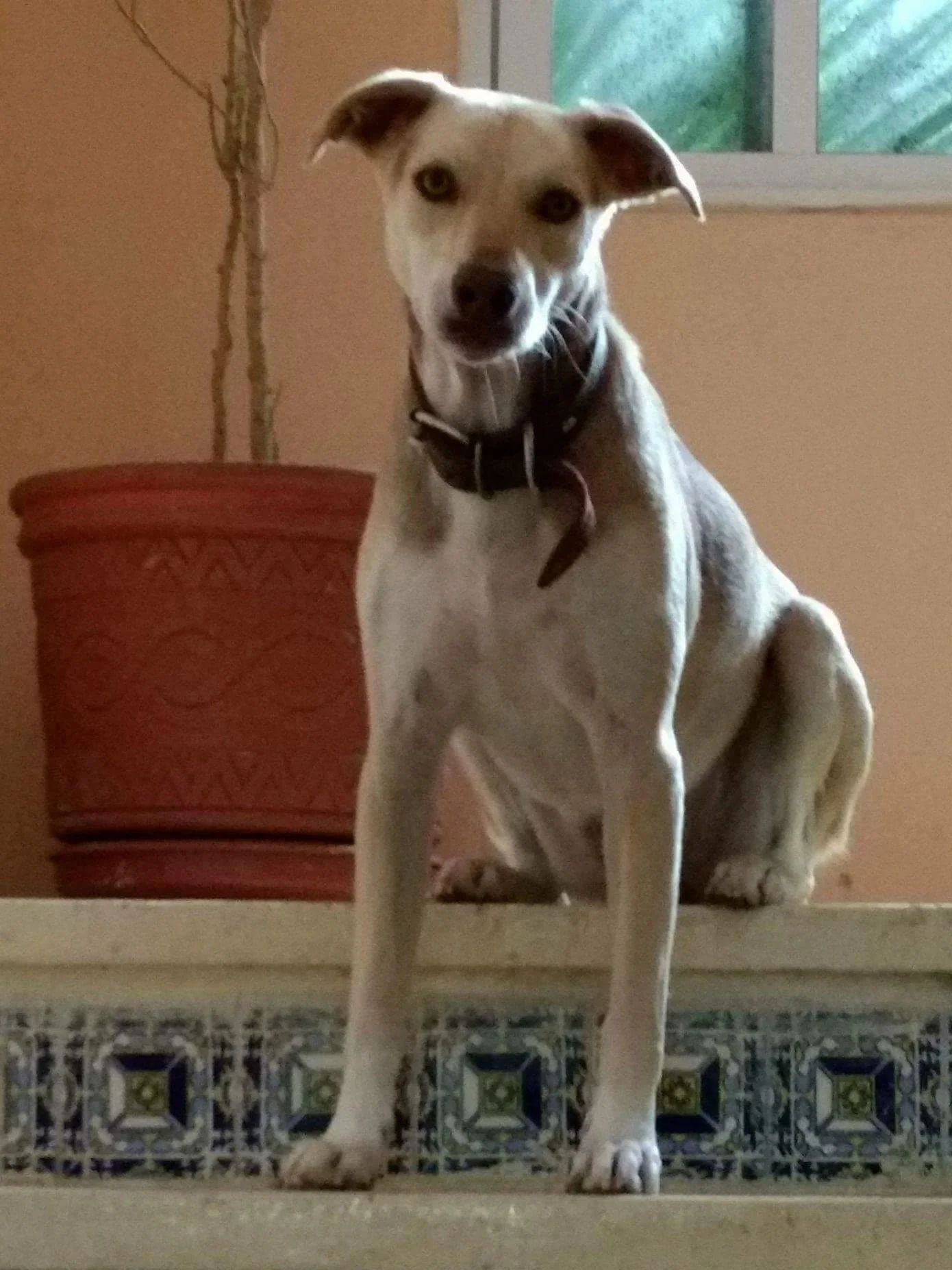 A Conversation with Kira — Part 1: The Day I Met Her