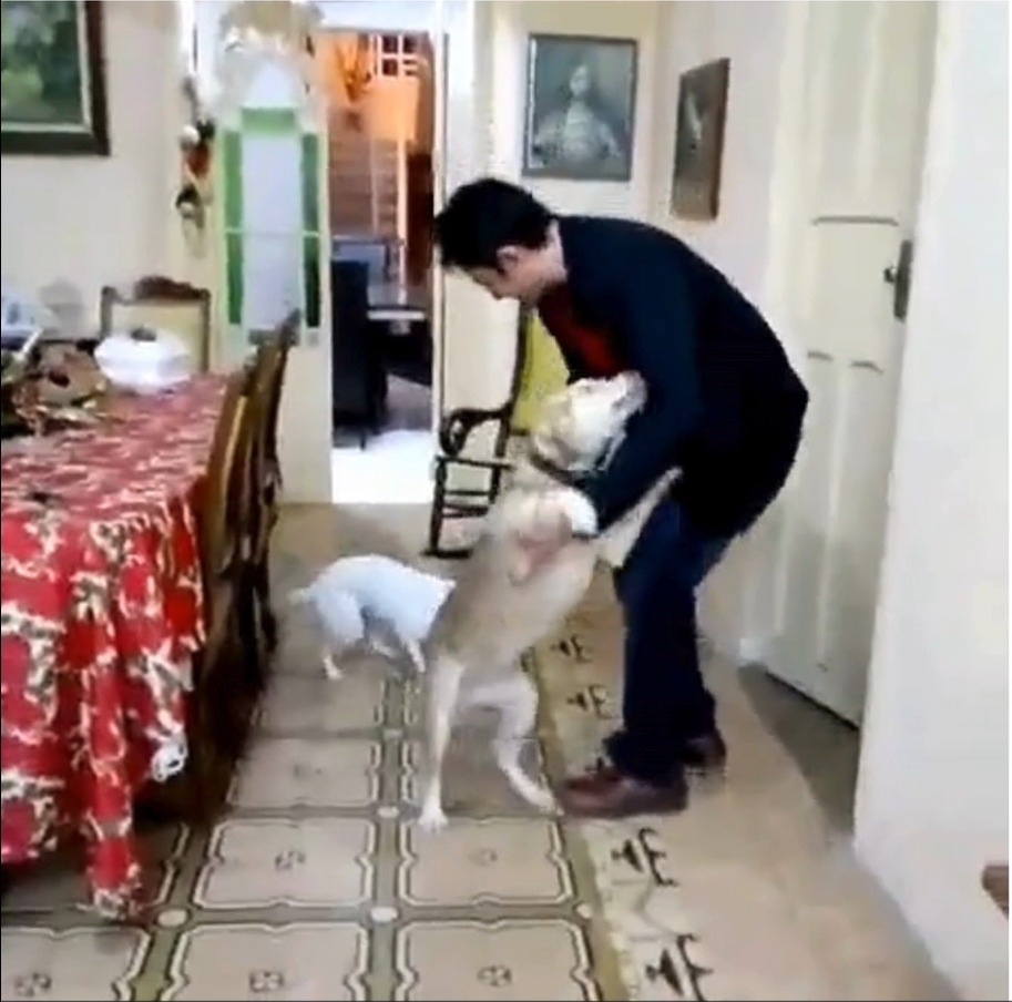 A Conversation with Kira. Part 2: The Distance Between Us…