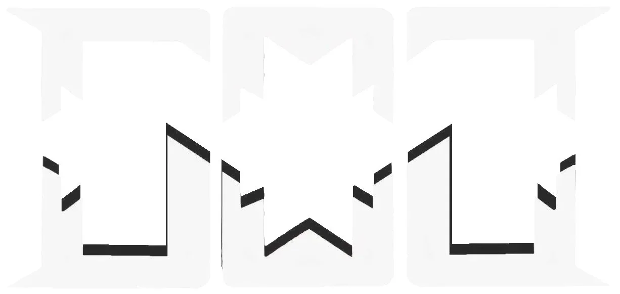 A black and white geometric star shape with a black outline on white background