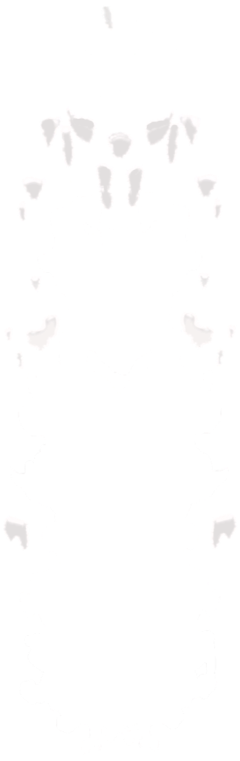 Symmetrical abstract black and white inkblot pattern resembling a butterfly or moth.