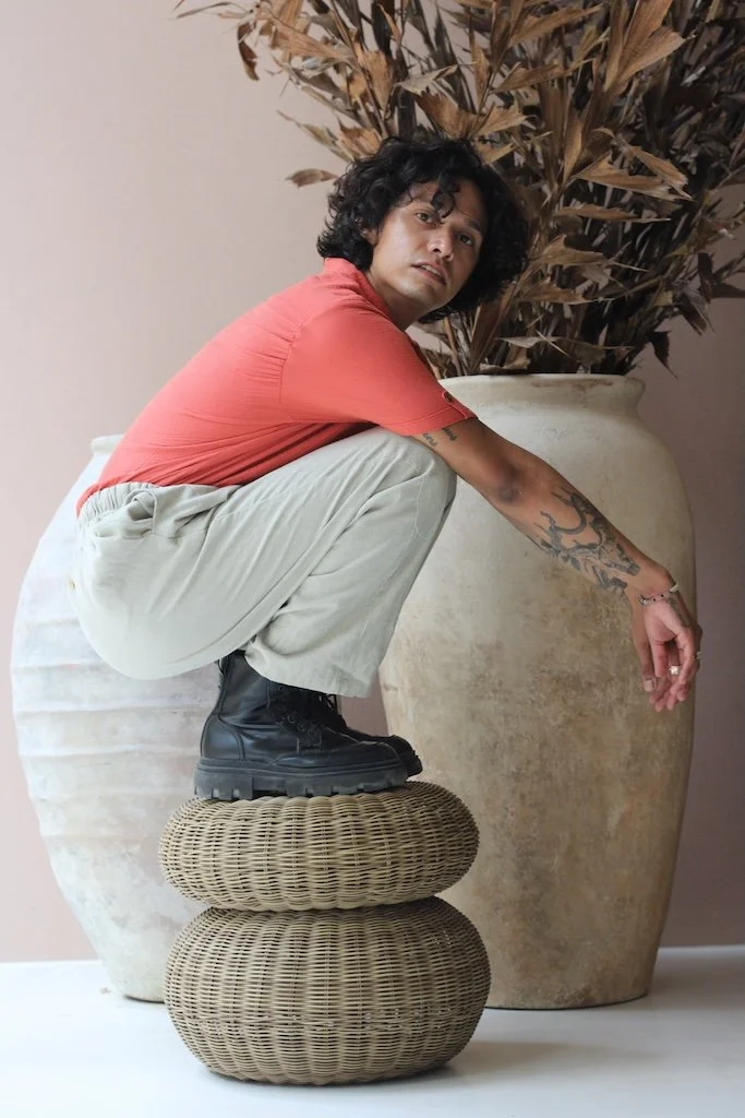 Ficus Pantalon