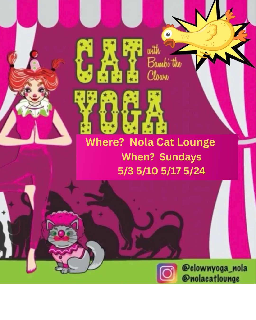 Cat Yoga