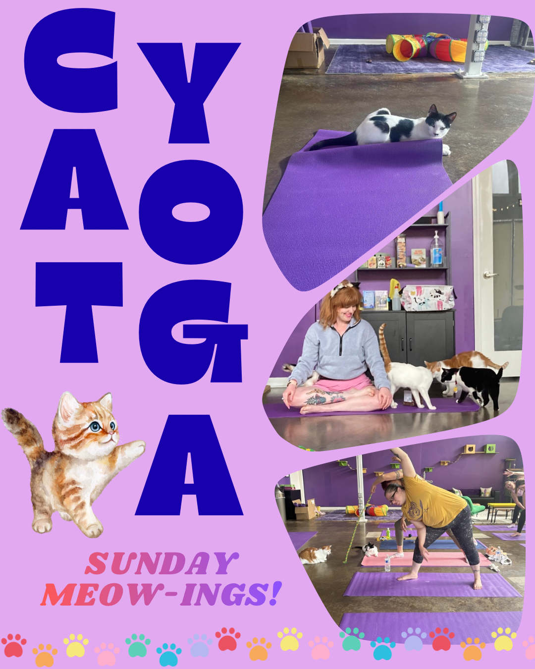 Cat Yoga at Nola Cat Lounge!