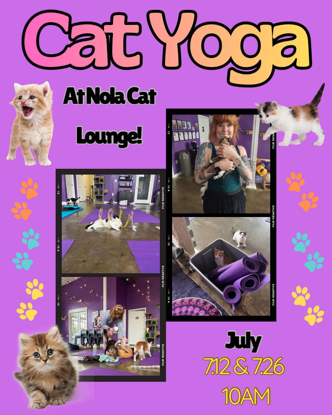 Cat Yoga!