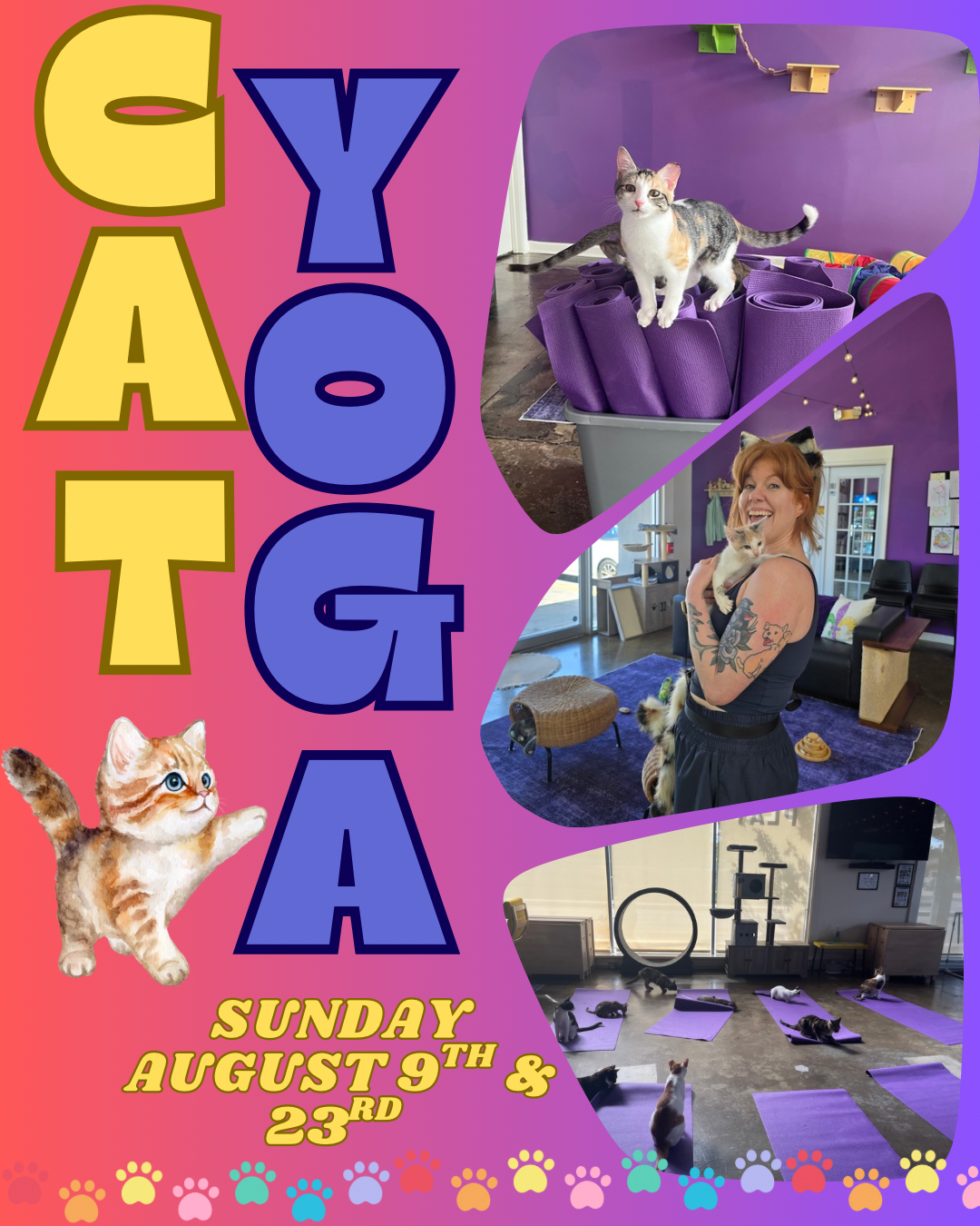 Cat Yoga at Nola Cat Lounge!