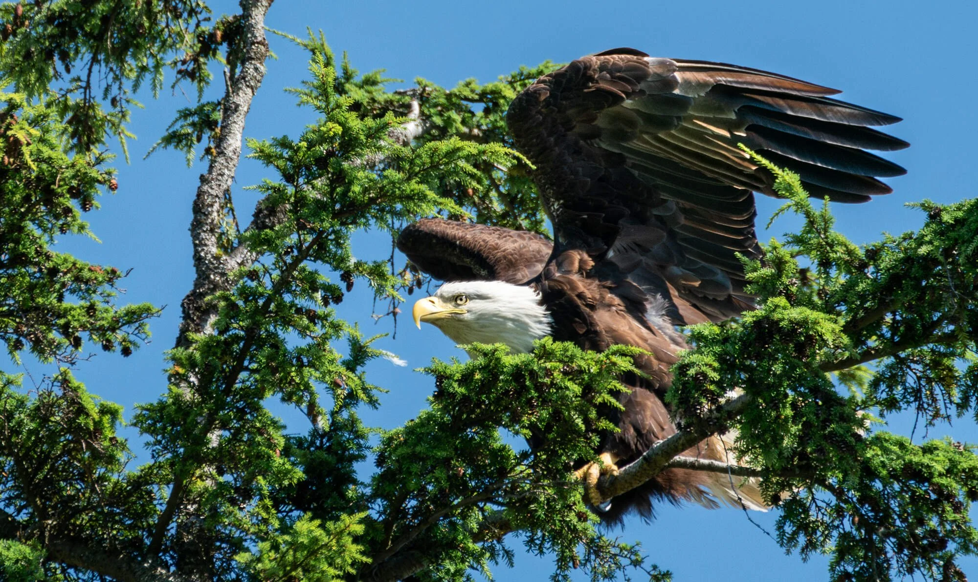 Alaska-31 Web Long.jpg