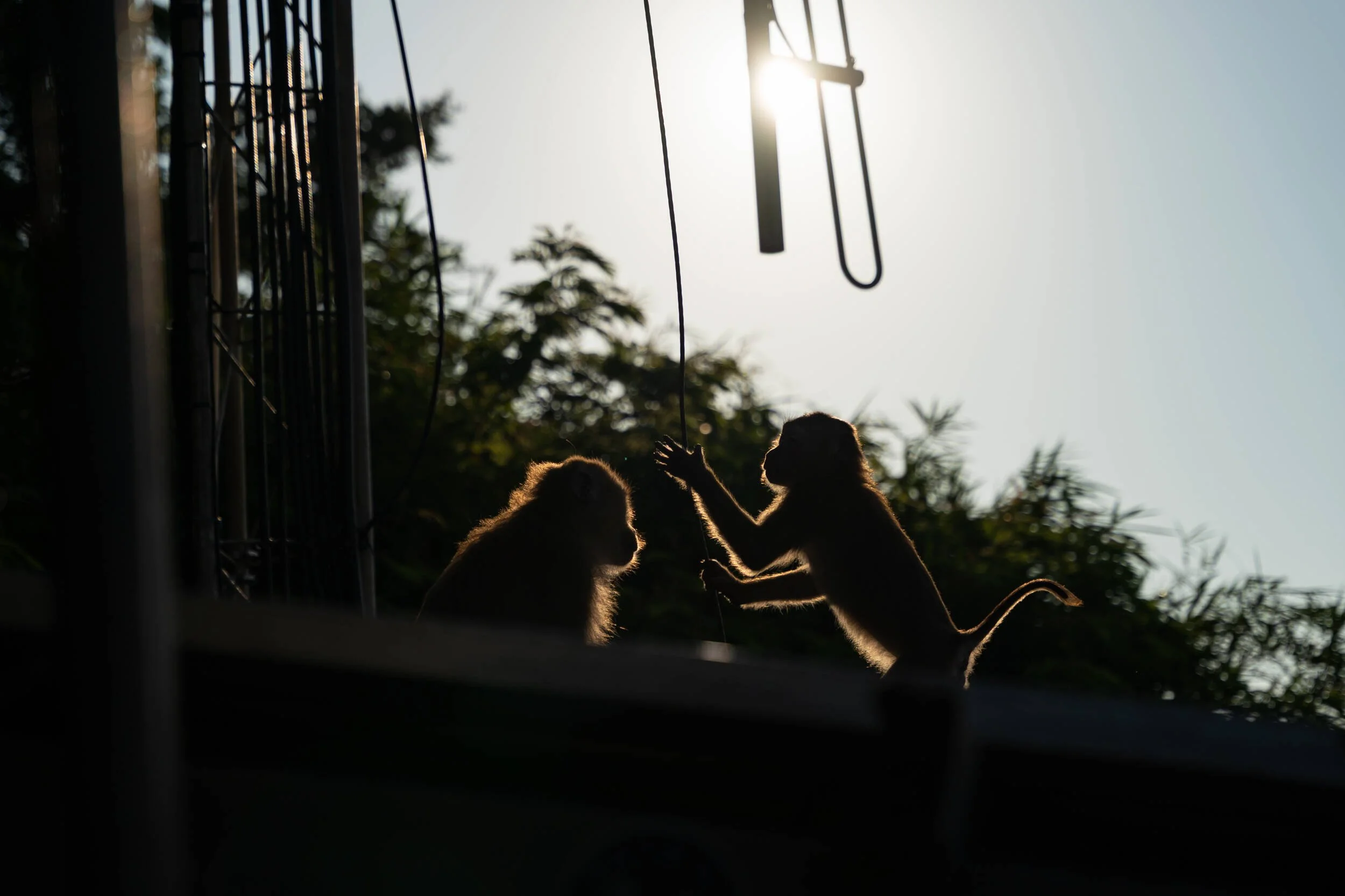 Thailand2024-39 Web.jpg