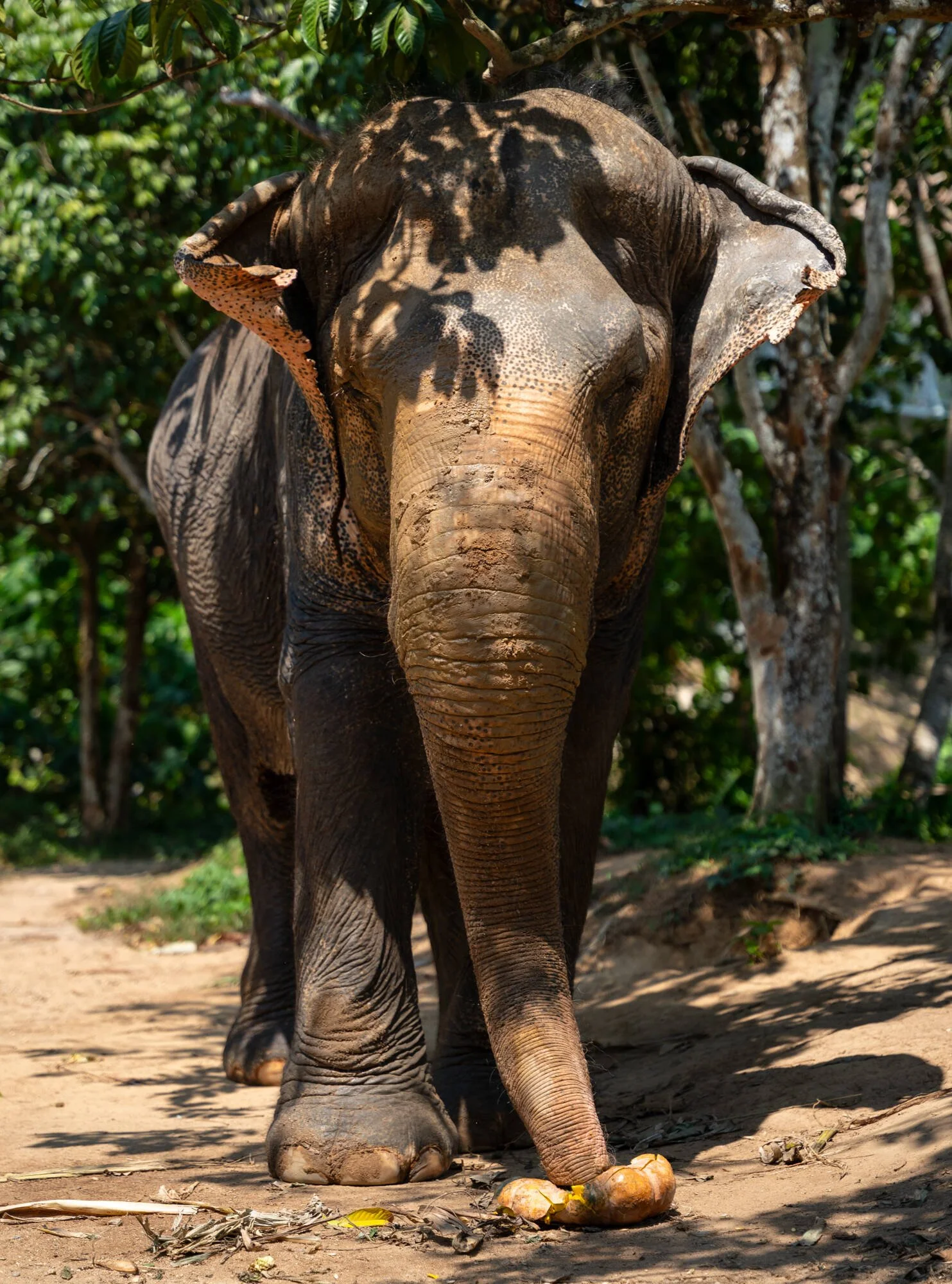 Thailand2024-15 Web.jpg