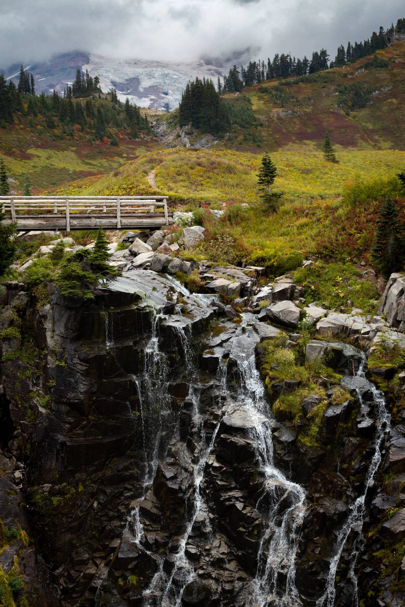 Washington2023-6 Web.jpg