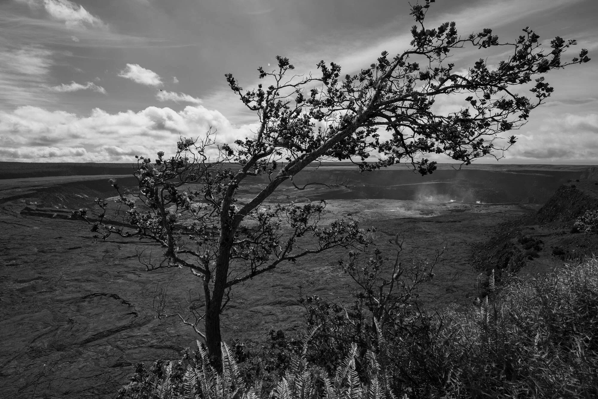 Hawaii 2024-7 Web.jpg