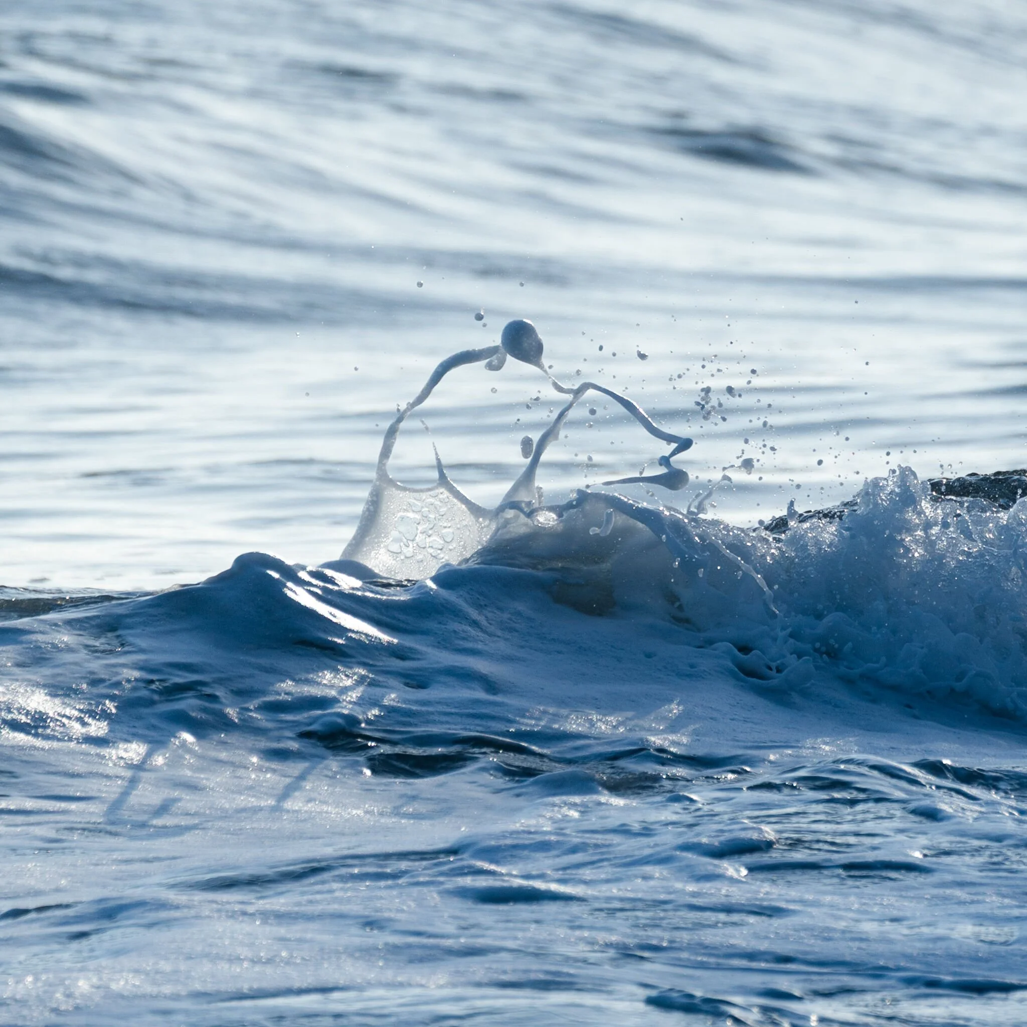 Hawaii 2024-44 Portfolio.jpg