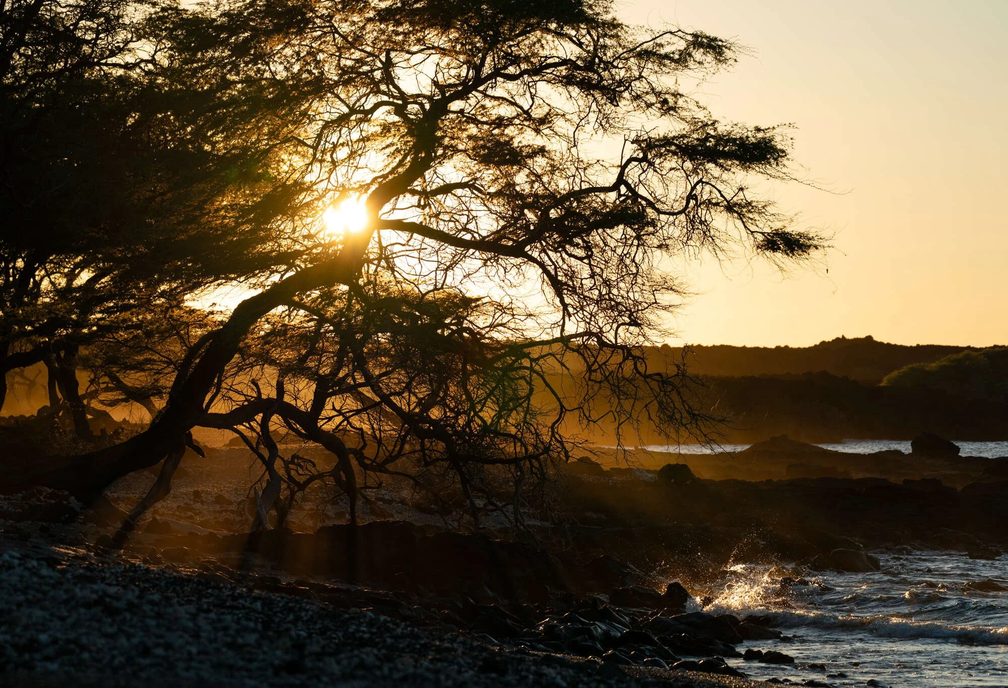 Hawaii 2024-53 Web.jpg