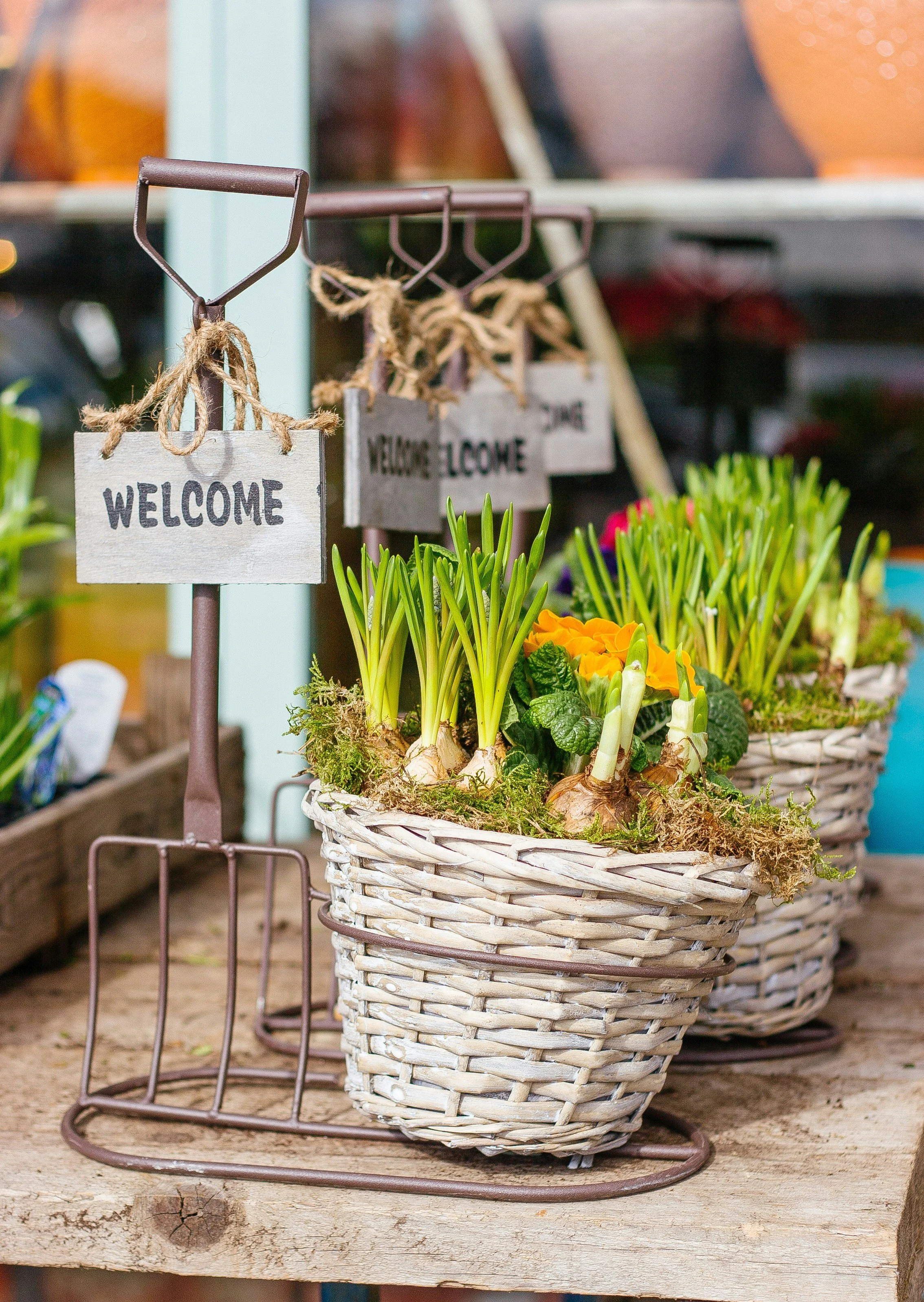 Wicker baskets with flowering plants, including yellow and white flowers, placed on a rustic wooden surface at a garden shop. Small signs with 'Welcome' are hanging on metal handles, indicating a welcoming display.
