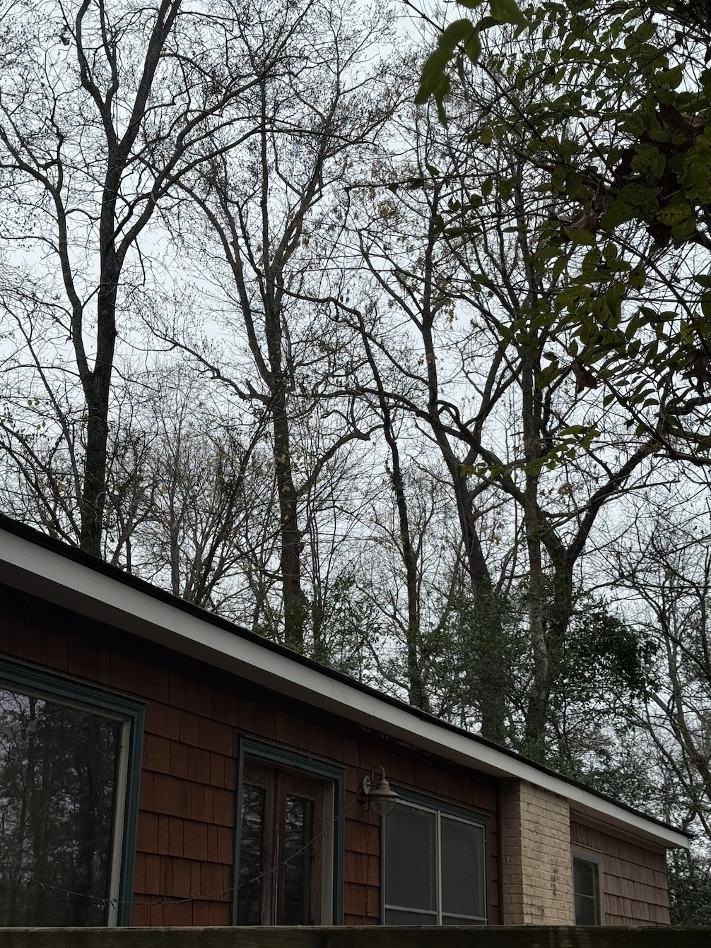 Screenshot 2025-12-23 at 8.53.58 AM.png