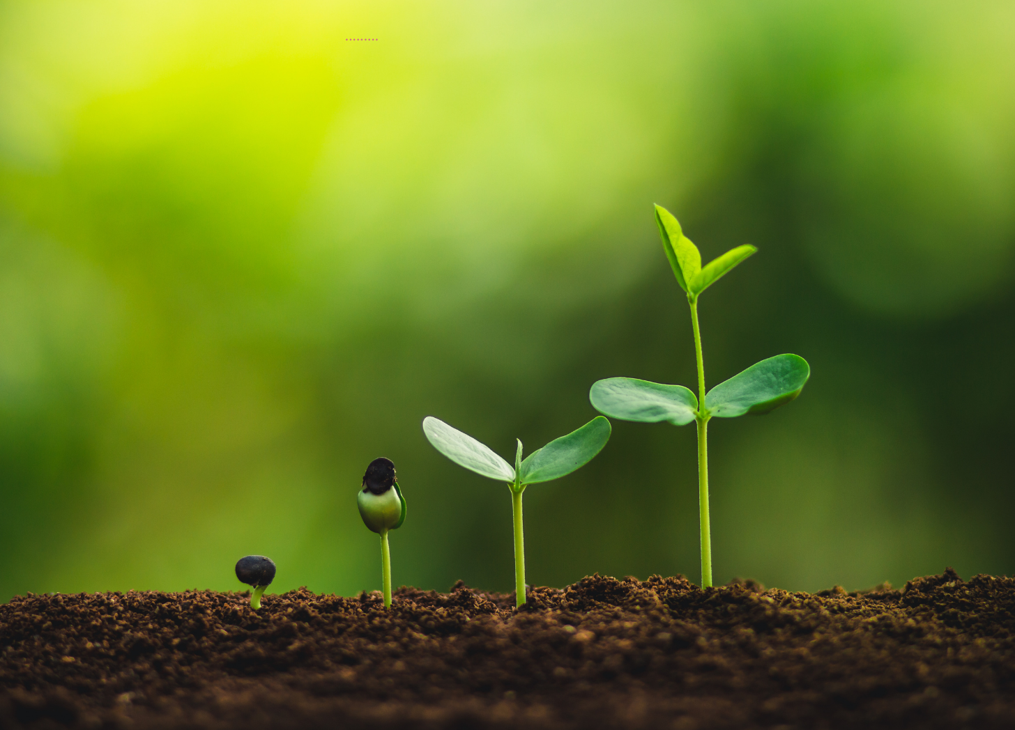 Progress, Growth, and Recovery