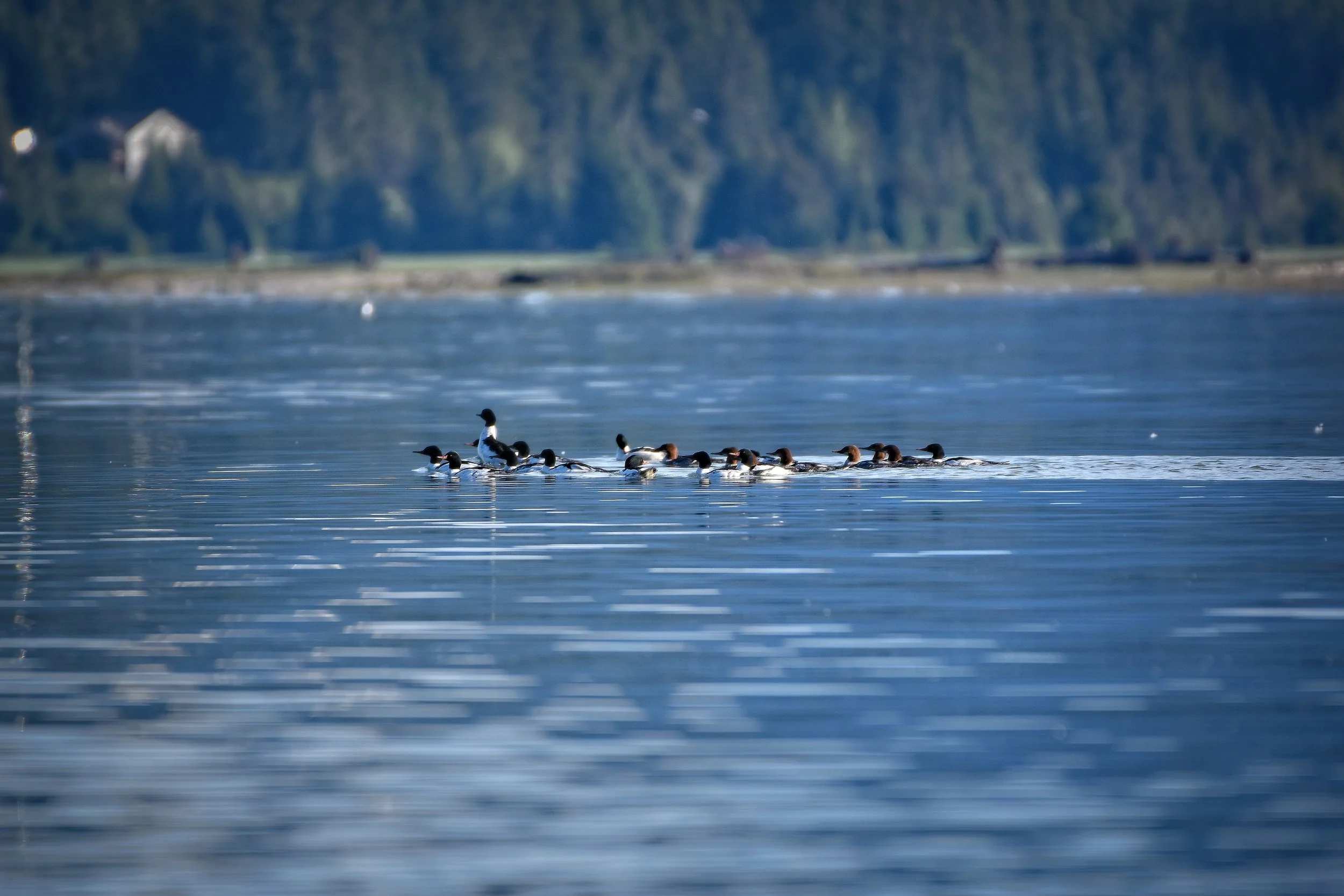 BDSC_0146 1.jpg