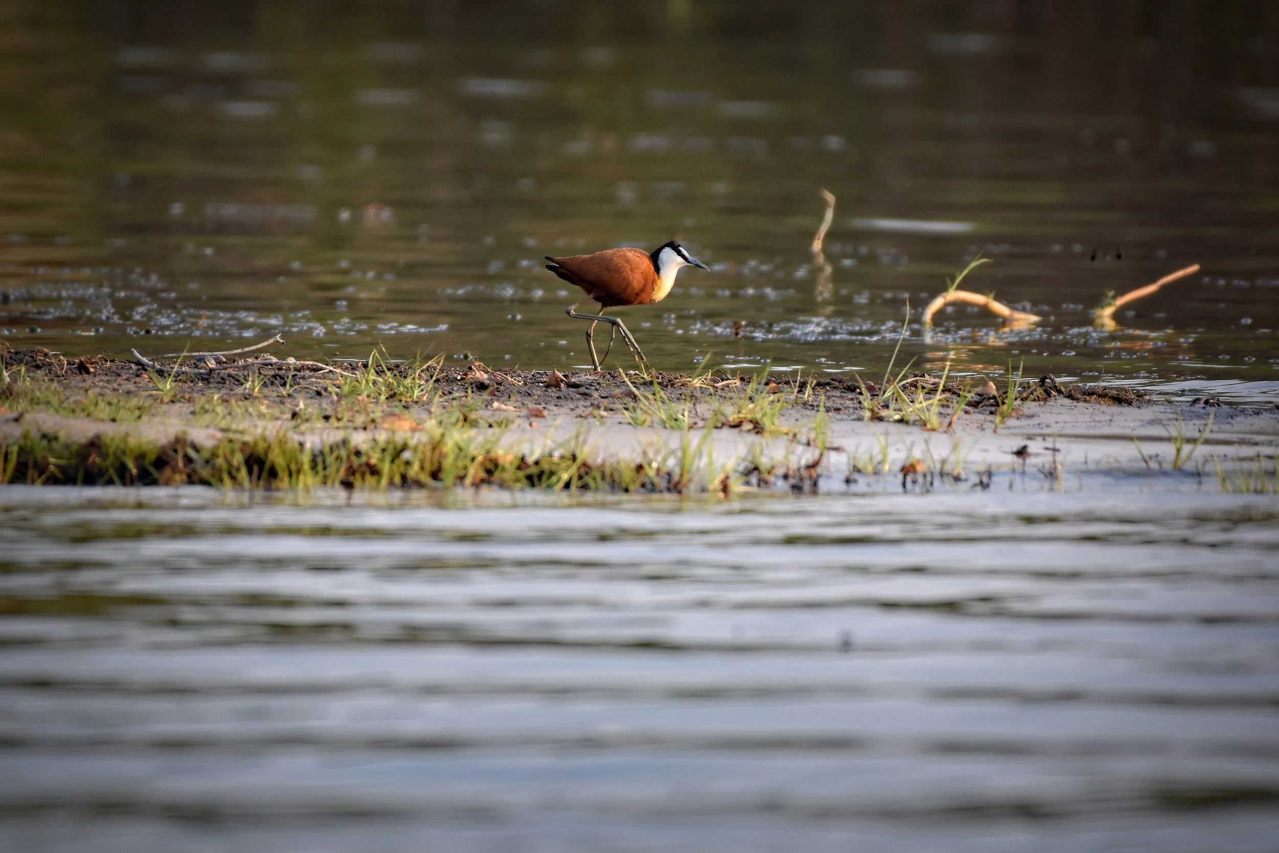 Jicana in Botswana, Africa