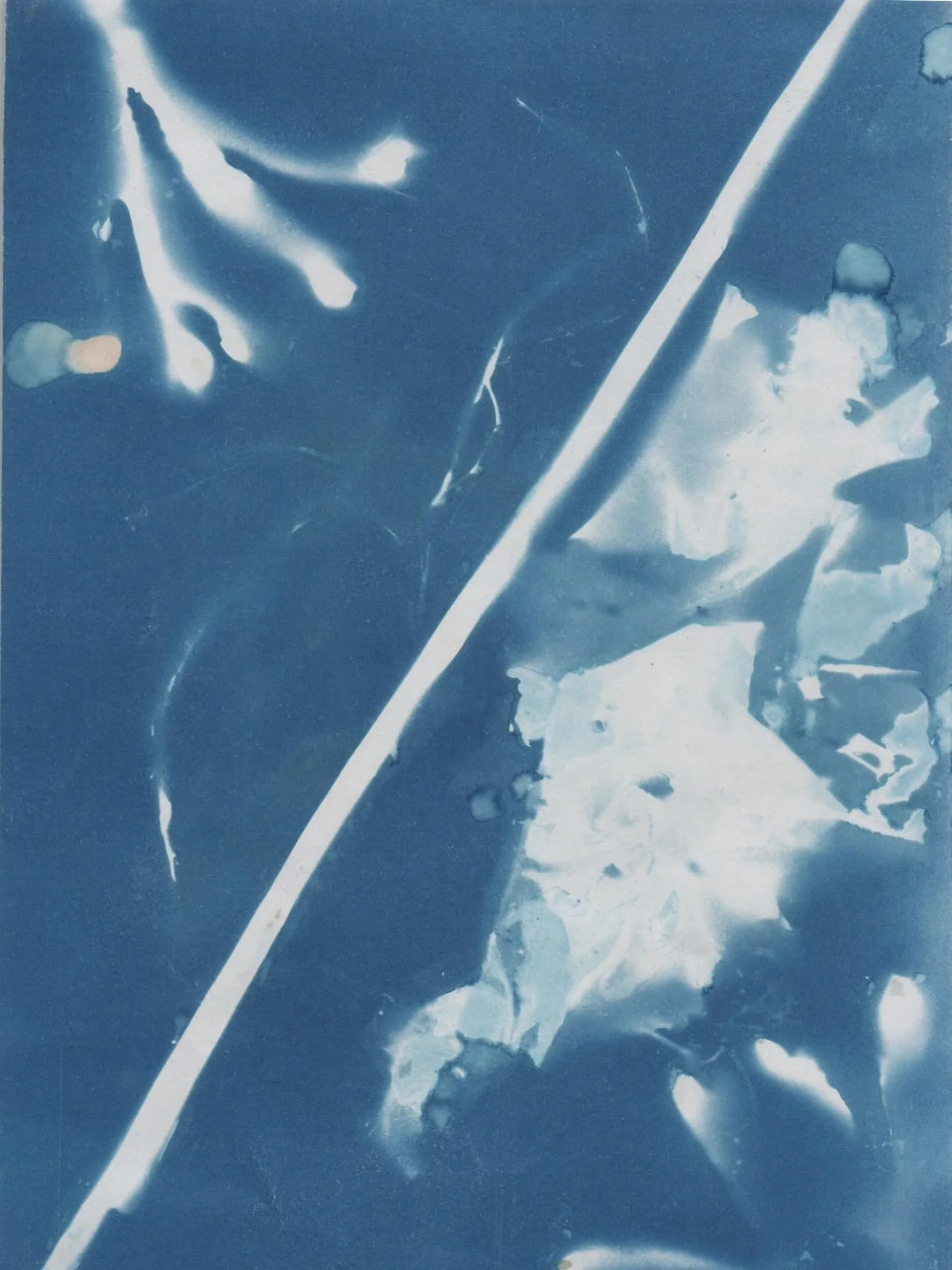 My heart is so full 💙