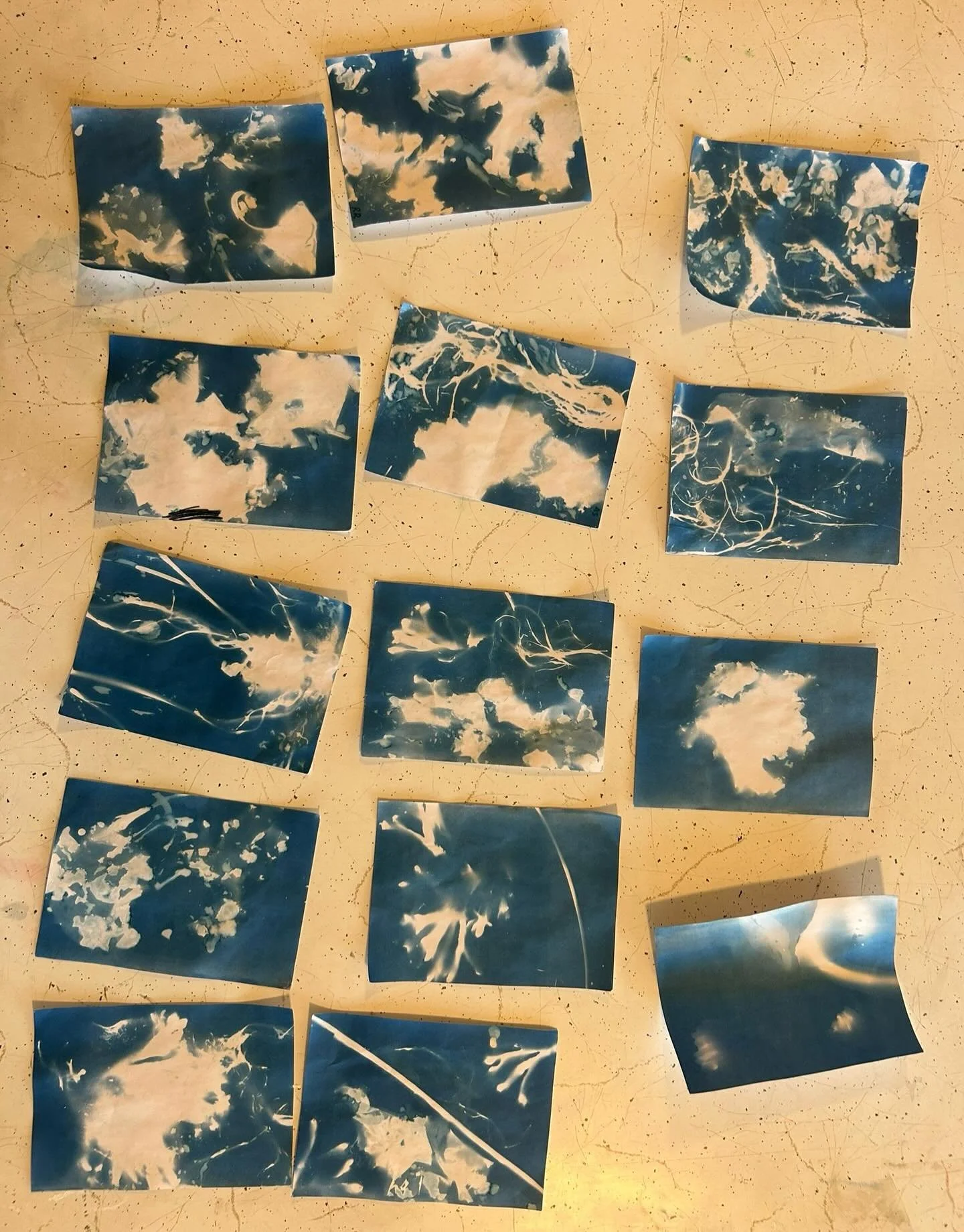 Pretty fun little cyanotype and algae lesson with the scouts! Anna Atkins&rsquo;s would be proud just saying&hellip; 💙🩵#cyanotype