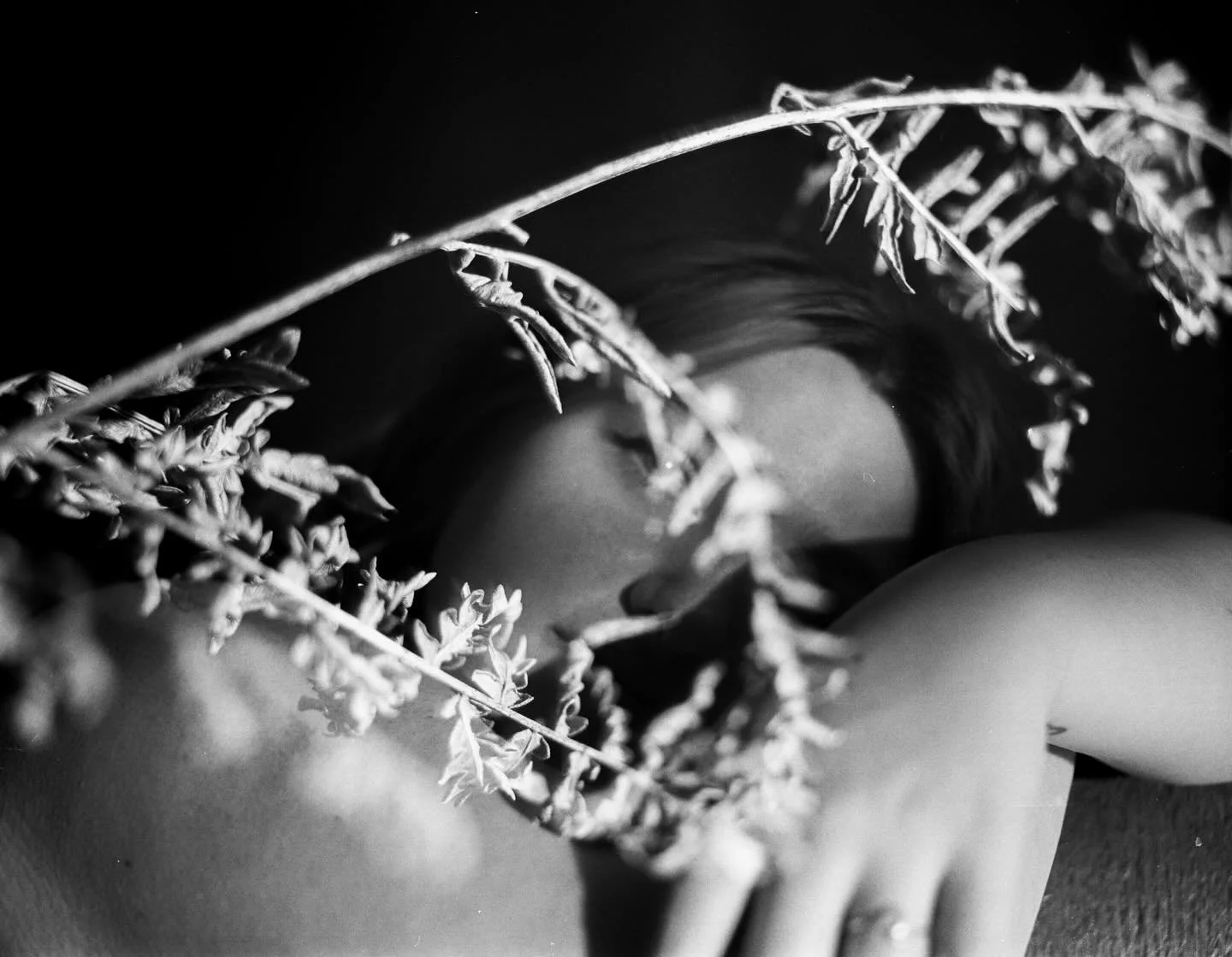 Been enjoying the mamiya rb67s quite a bit this quarter! Also taking a drawing course this quarter (will post at some point) and almost done with my graphic design certificate. Fancy portfolio website coming soon !! Buttttt this studio project keeps 