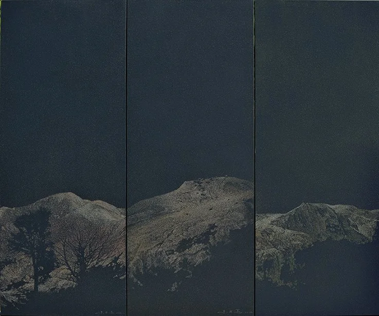 The Realm of the Heart N0.41, 2014, Oil on canvas, 230X67cm.
