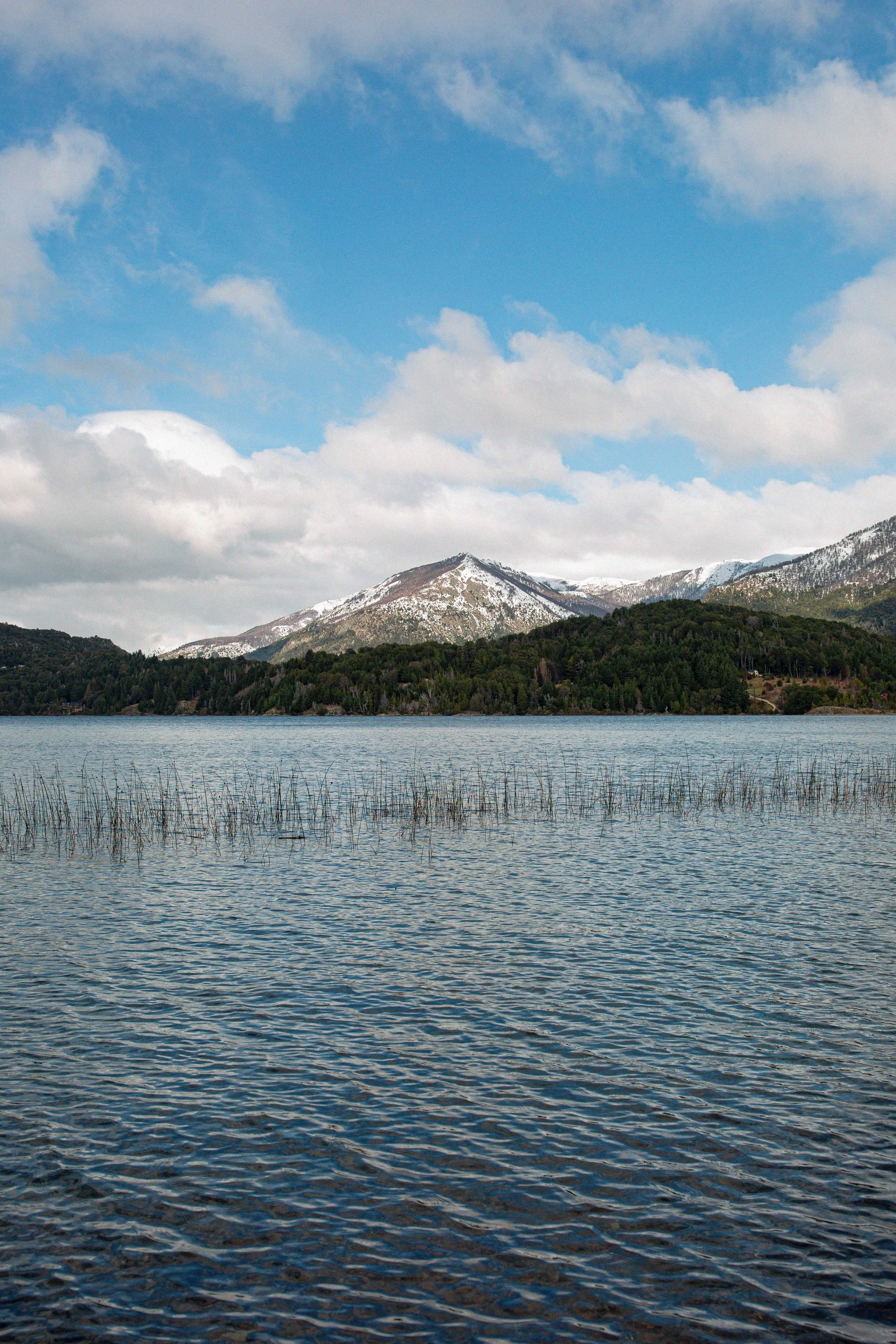 0L0A2861.jpg