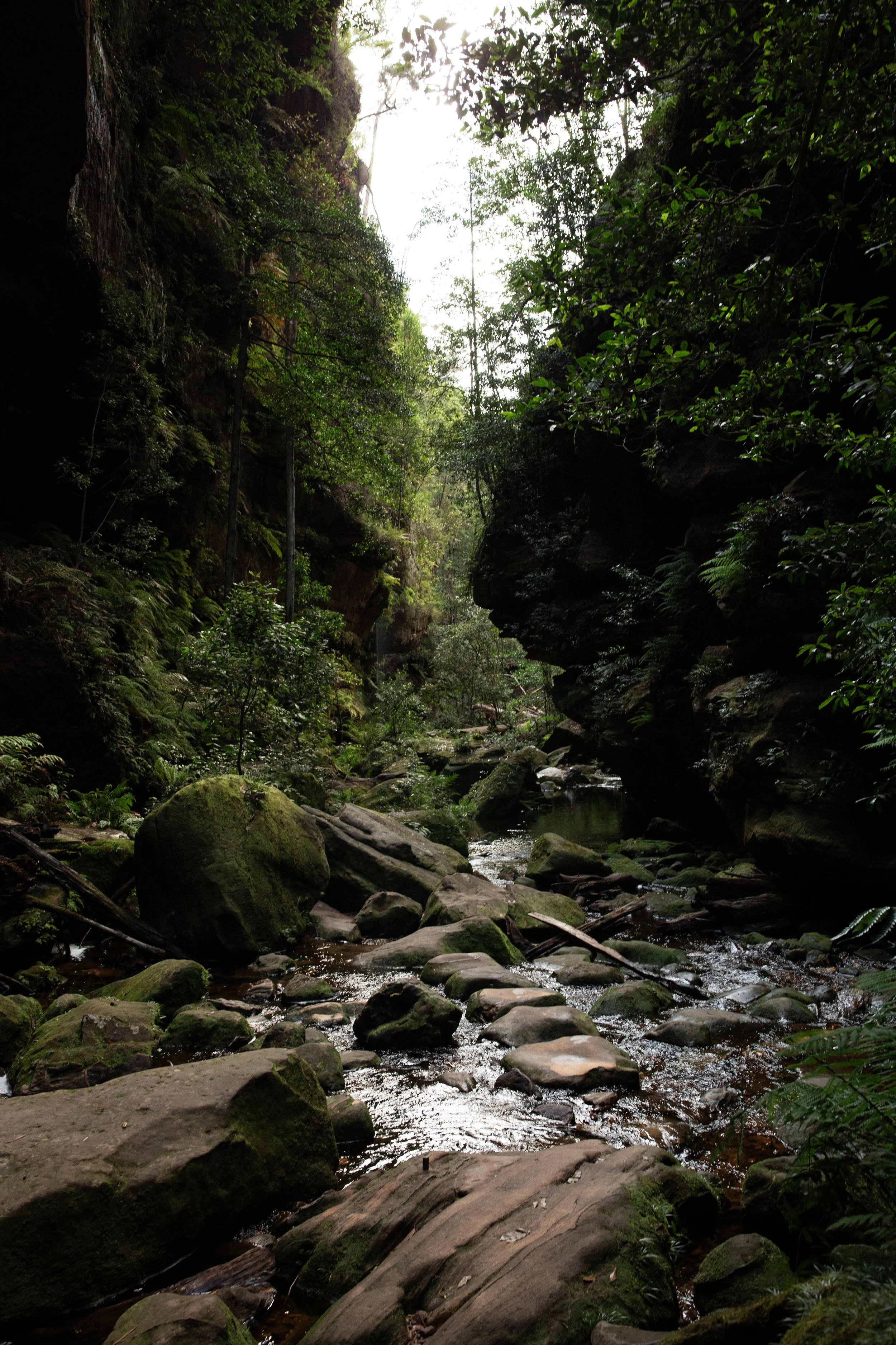 0L0A6746.jpg
