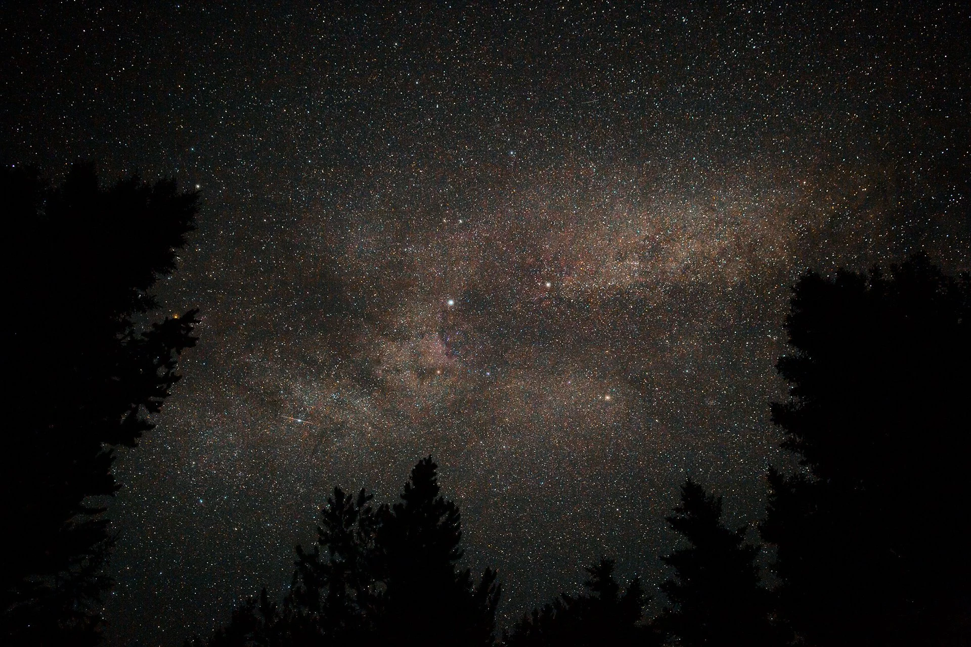 ca44c0f8-4fdf-4536-b7b2-d4234e7a9c23_rw_1920.jpg