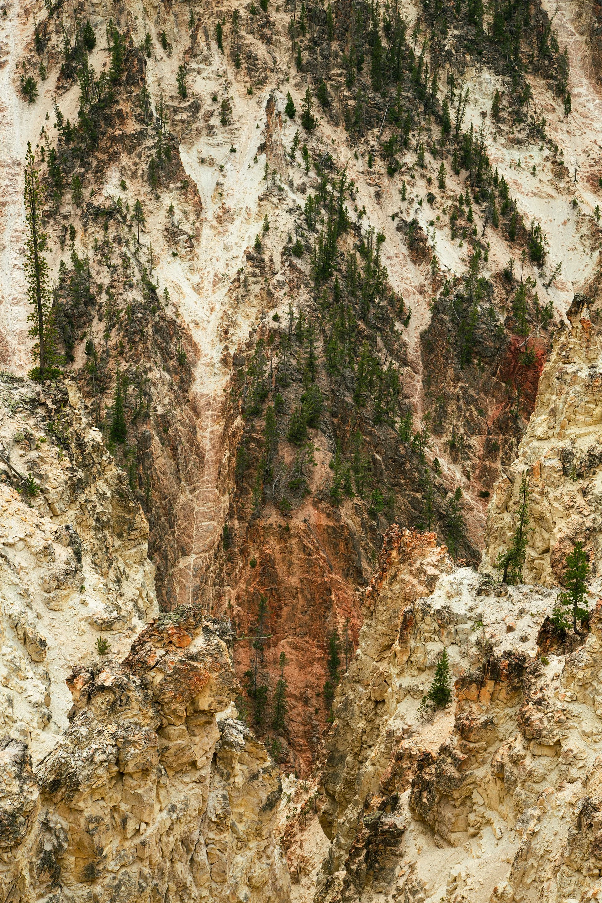 bc3eeabb-e100-4efc-abf7-a76eac9cd04d_rw_1920.jpg
