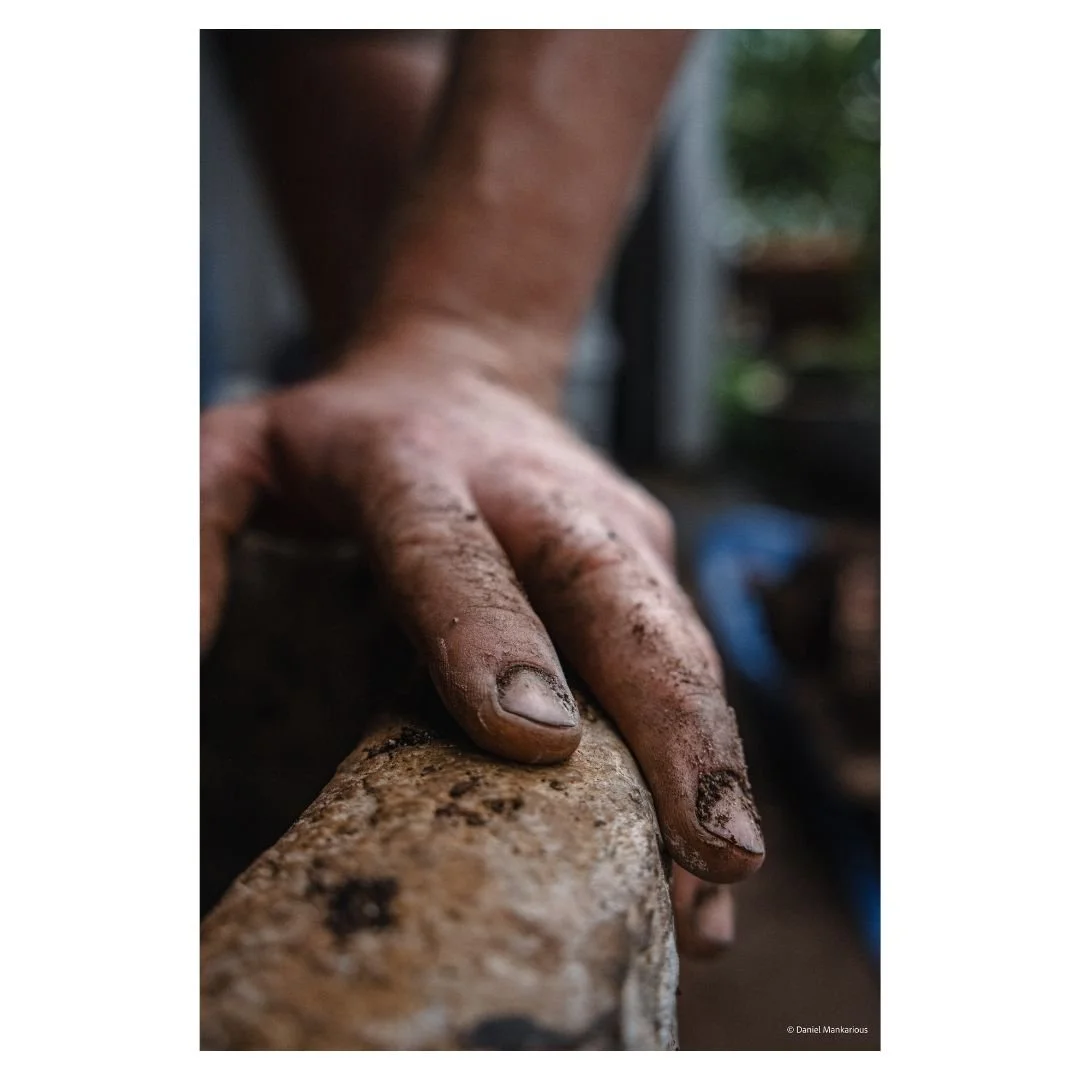 Close-up of a soil-covered hand during behind-the-scenes plant work with Gus at Demeter Plants Sydney.