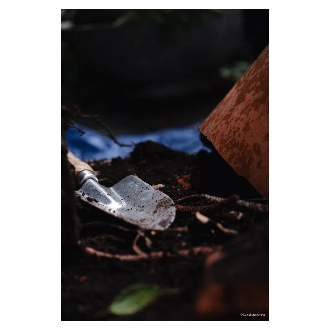 Close-up detail of a garden trowel in dark soil, from a behind-the-scenes plant potting session at Demeter Plants.
