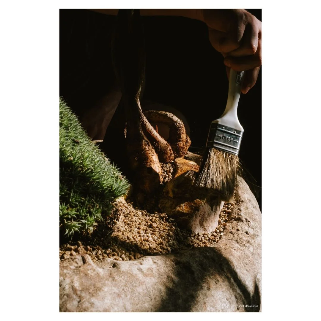 Detail shot of a styling brush being used to clean soil and rocks, highlighting the "work behind the work" that goes into every Demeter Plants product.