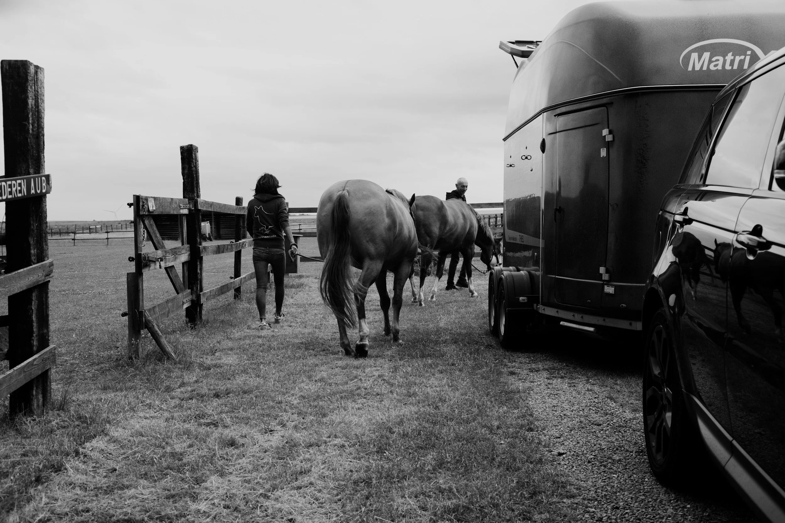 A woman leading two horses along a fence in an open field, with a vehicle and trailer parked nearby, under an overcast sky.