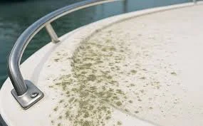 Advanced Marine Interior Remediation Services